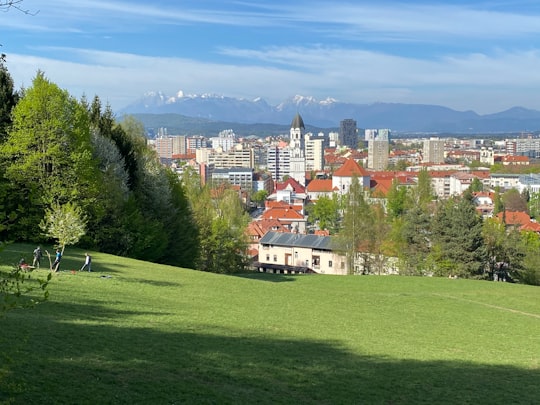 brown and white concrete houses near green trees under blue sky during daytime in Ljubljanski grad Slovenia