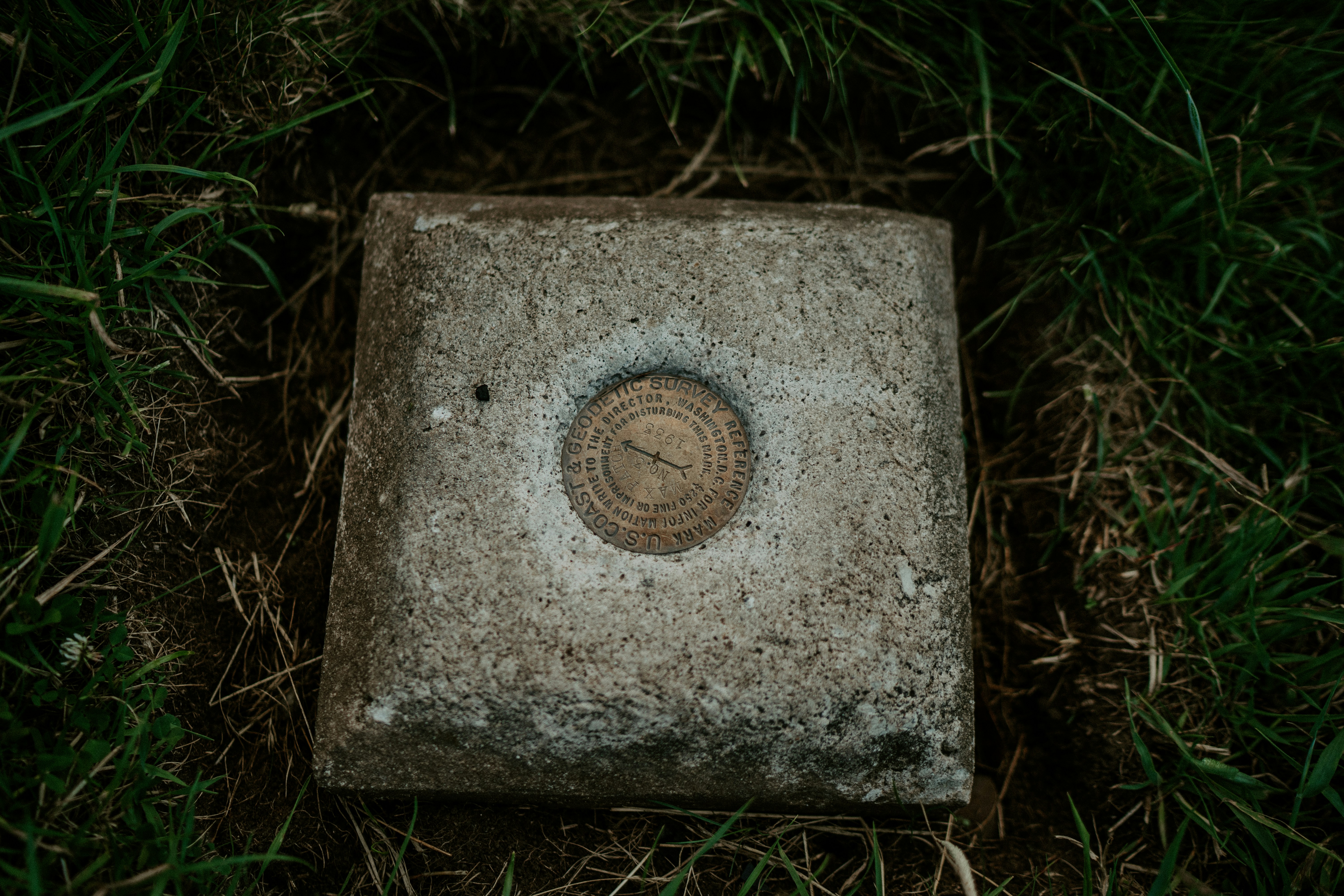 photo-1587189360214-8c02d8f43803?ixid=M3wxMjA3fDB8MXxzZWFyY2h8MTA2fHw4JTIwbW9udGhzJTIwZnJvbSUyMG5vd3xlbnwwfHx8fDE3MzQzNTIyMjZ8MA%5Cu0026ixlib=rb-4.0.3