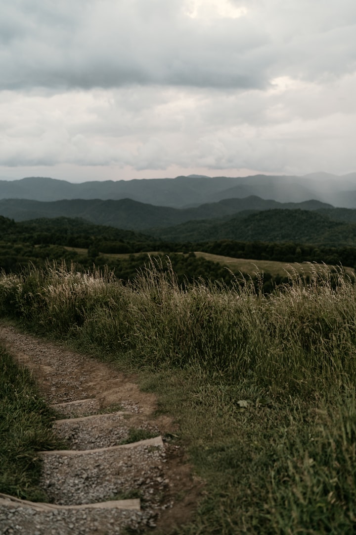 "Books That Bring Appalachia to Life: True Stories from the Heart of the Mountains Part II"