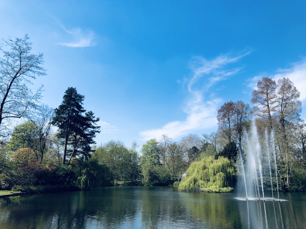 green trees beside river under blue sky during daytime