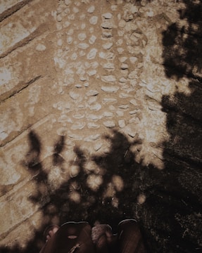 A textured pathway with uneven stones laid out, partially covered by shadows of leaves creating an intricate pattern. The edges of the path reveal what seems to be a natural setting, suggesting an outdoor environment.