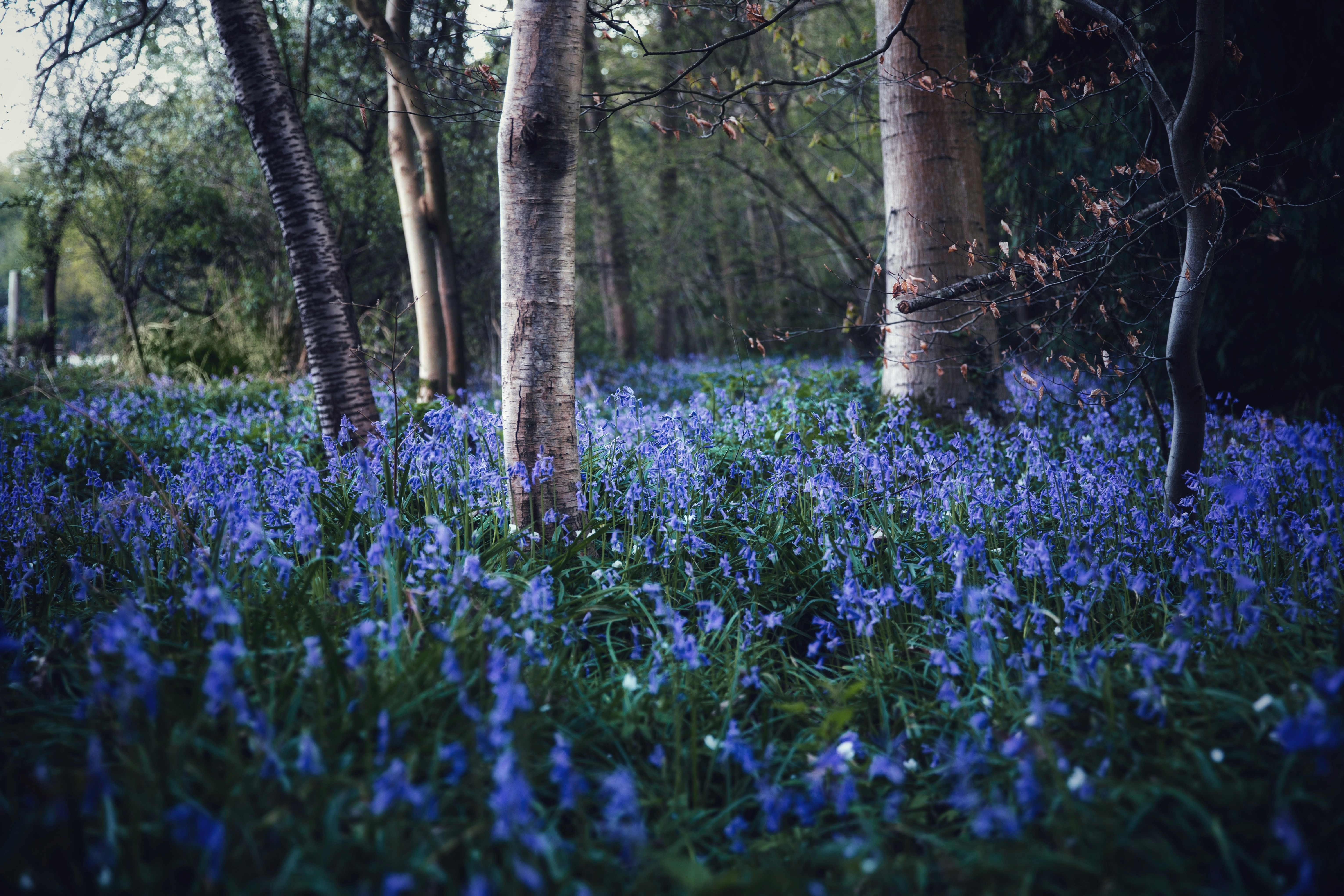 Photo by m_creative_2020