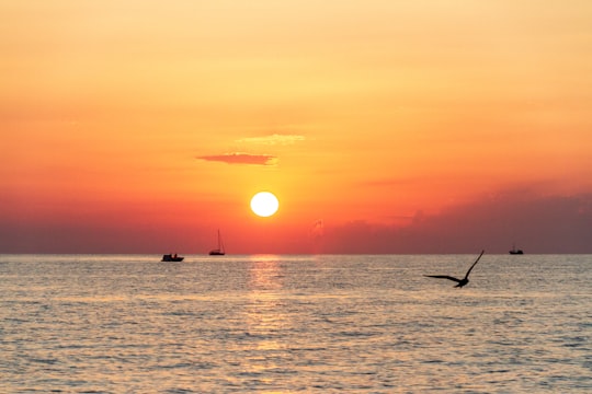 silhouette of 2 people on beach during sunset in Rovinj Croatia