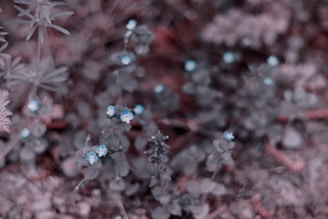 A dreamy pastel blue floral bouquet with gentle editing.