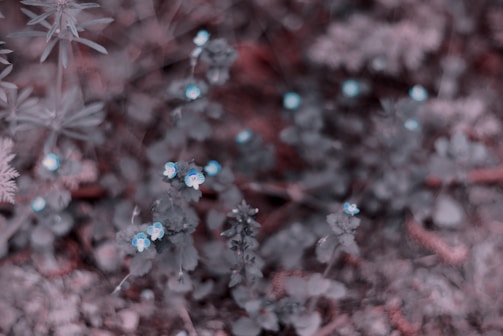 A dreamy pastel blue floral bouquet with gentle editing.