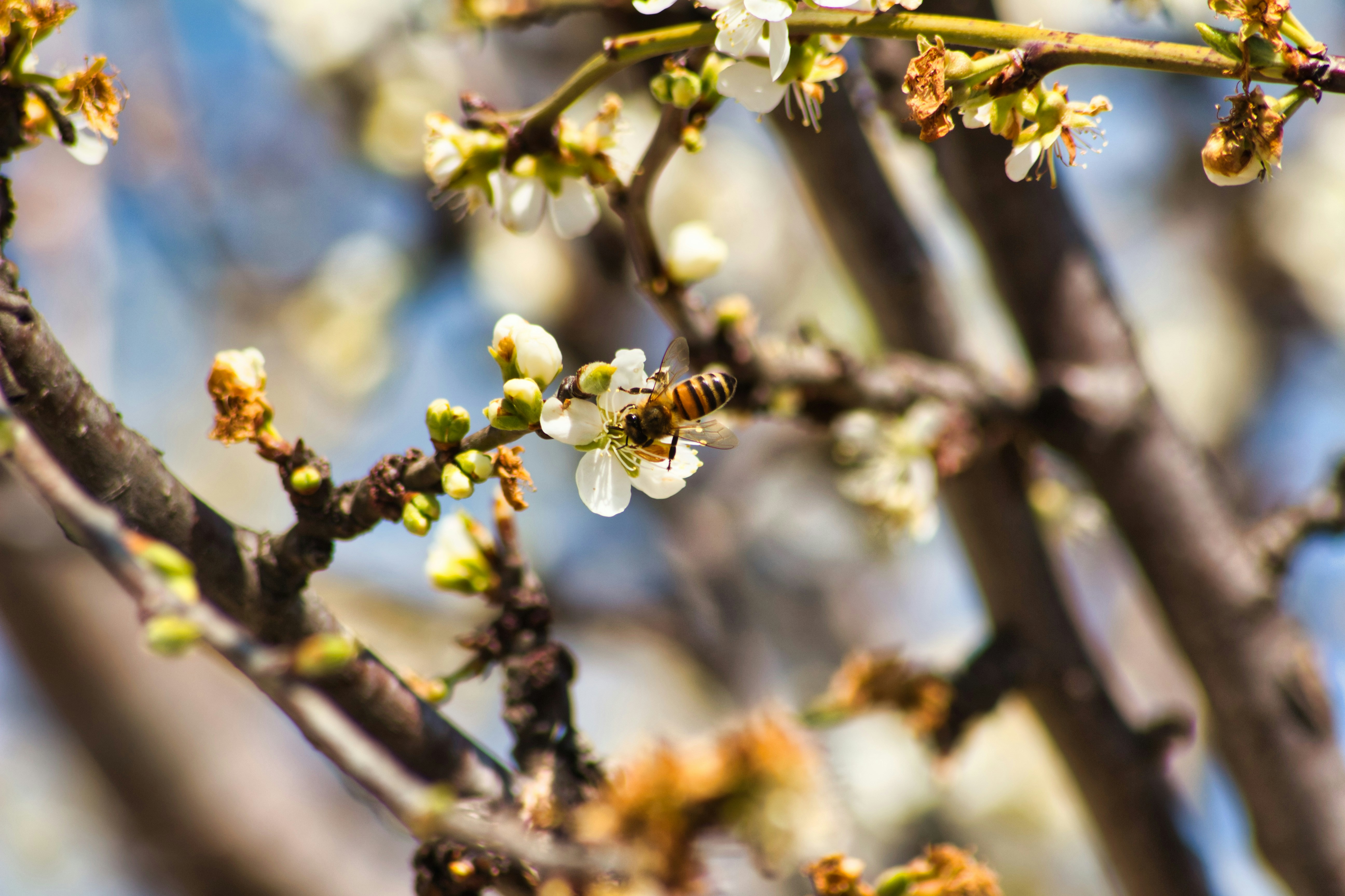 Photo by yvonne_muccini