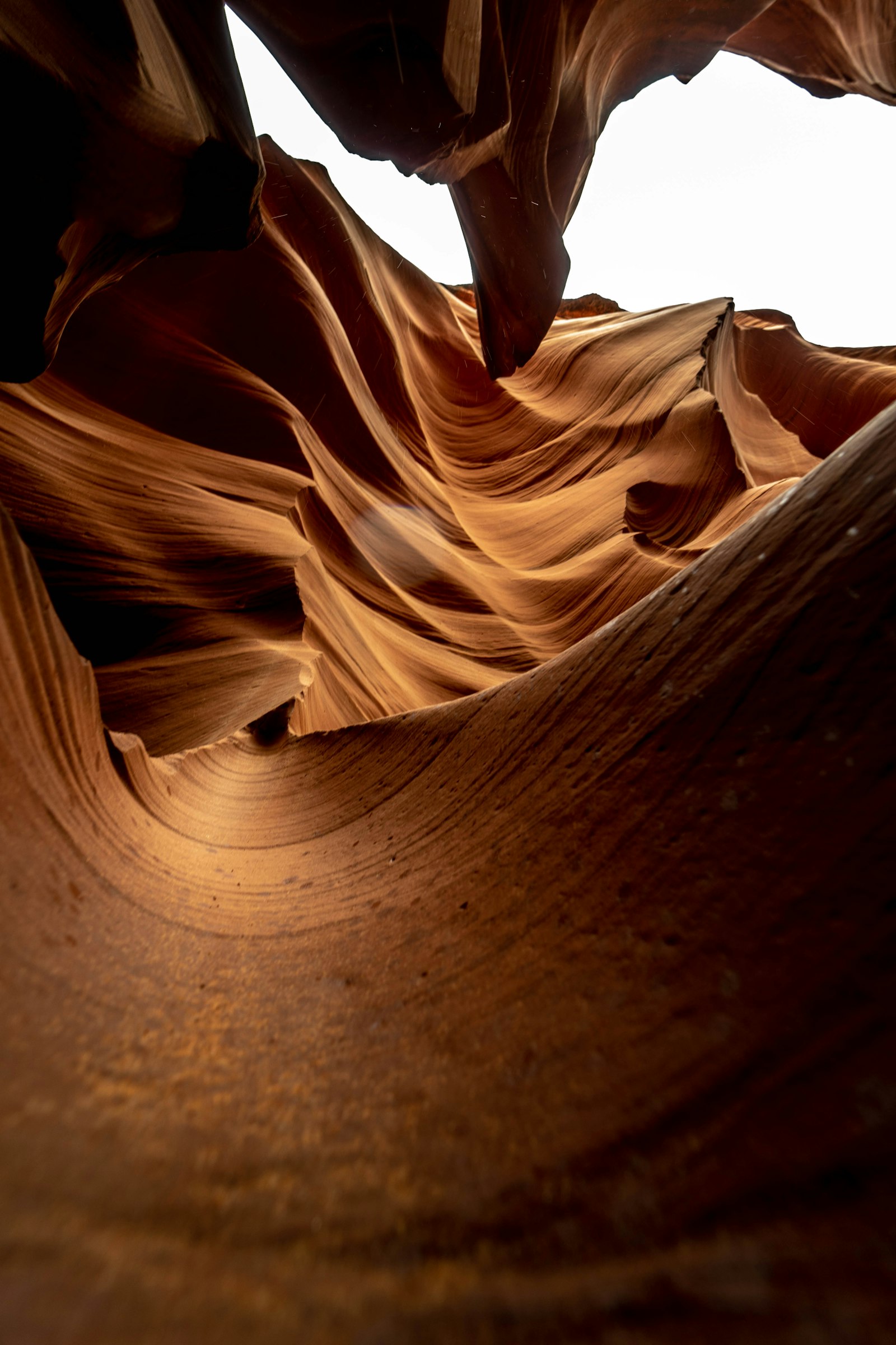 Sony a7 II + Samyang AF 14mm F2.8 FE sample photo. Brown sand in close photography