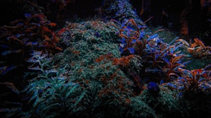 Pixel art depiction of a mysterious forest level with glowing plants and hidden paths.