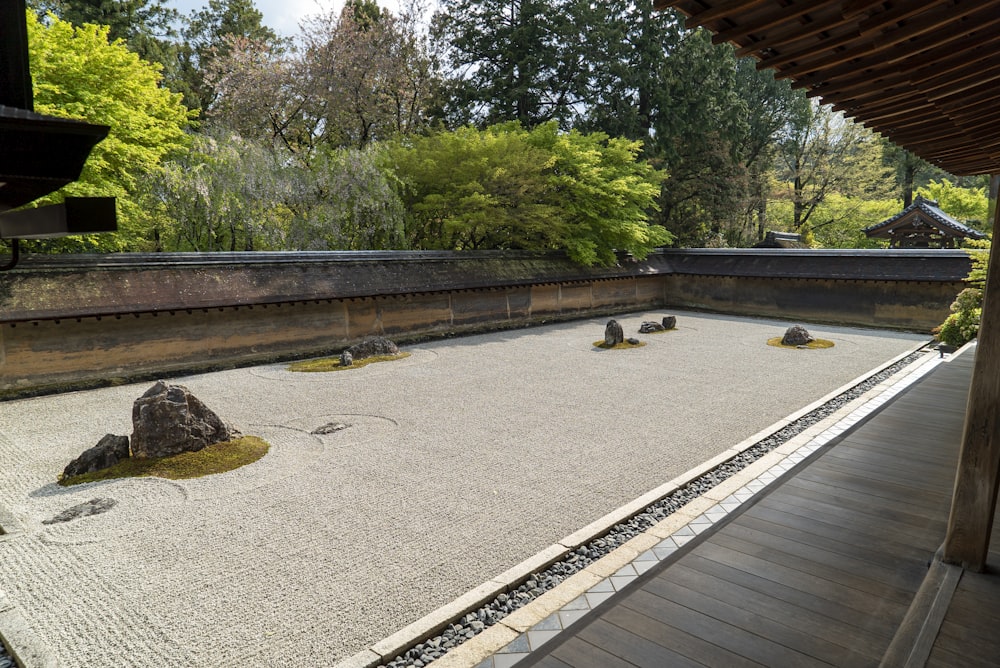 gray wooden pathway near green trees during daytime