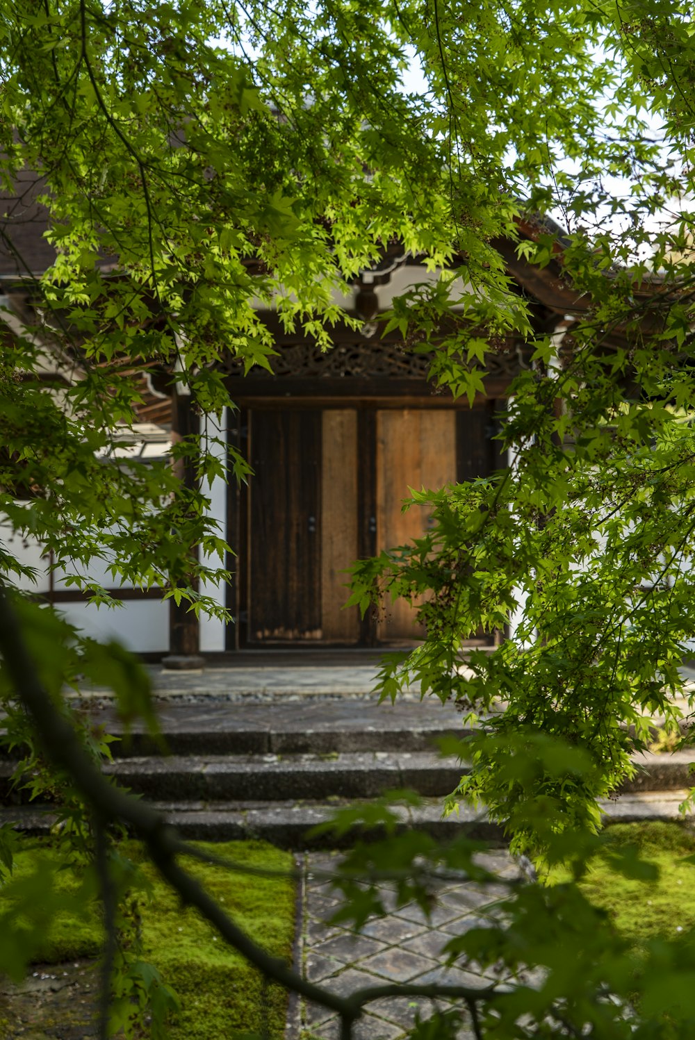 brown wooden door near green trees during daytime