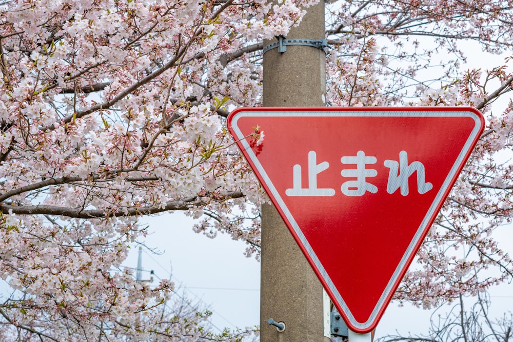 red and white stop sign