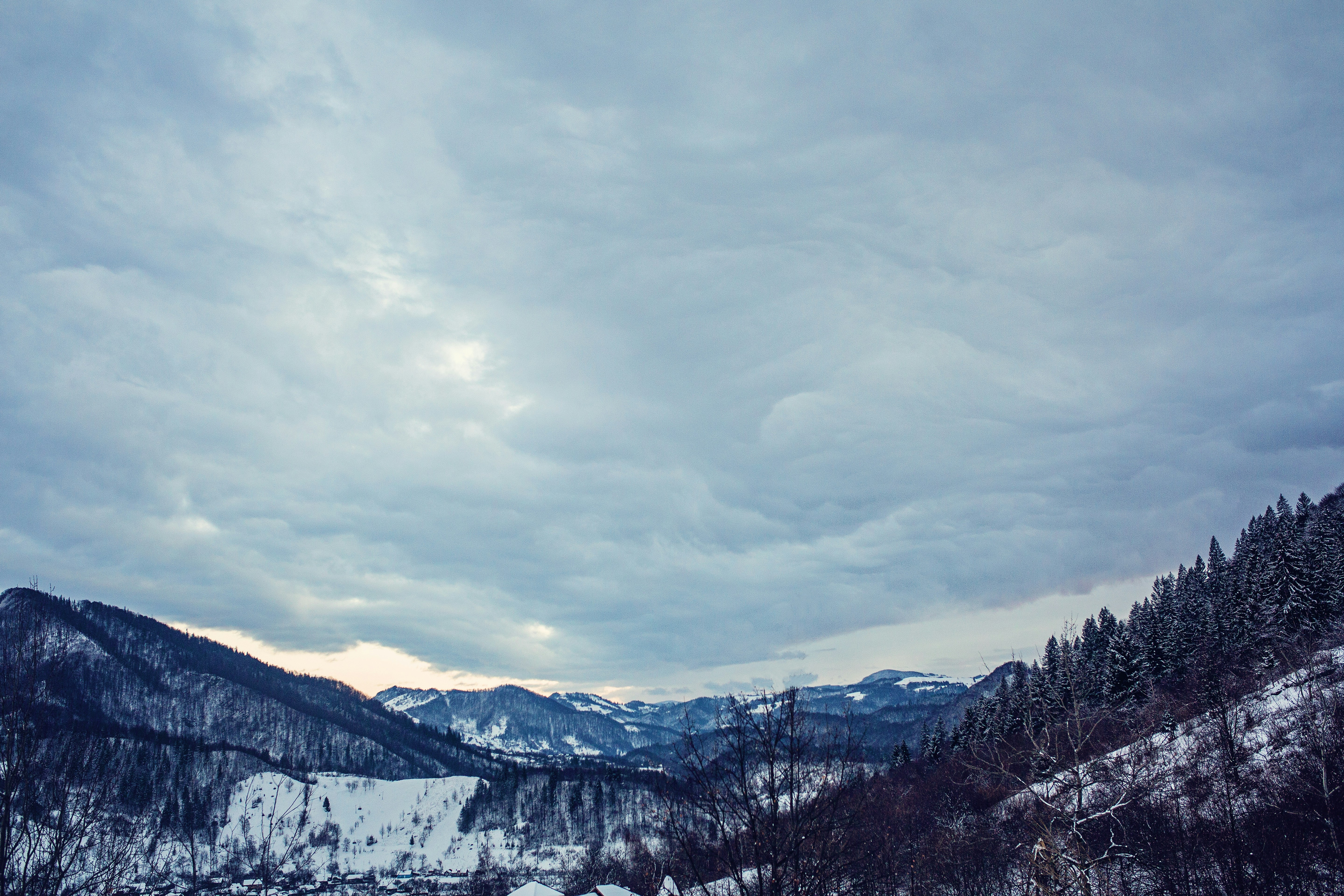 Photo by bohdanpyryn