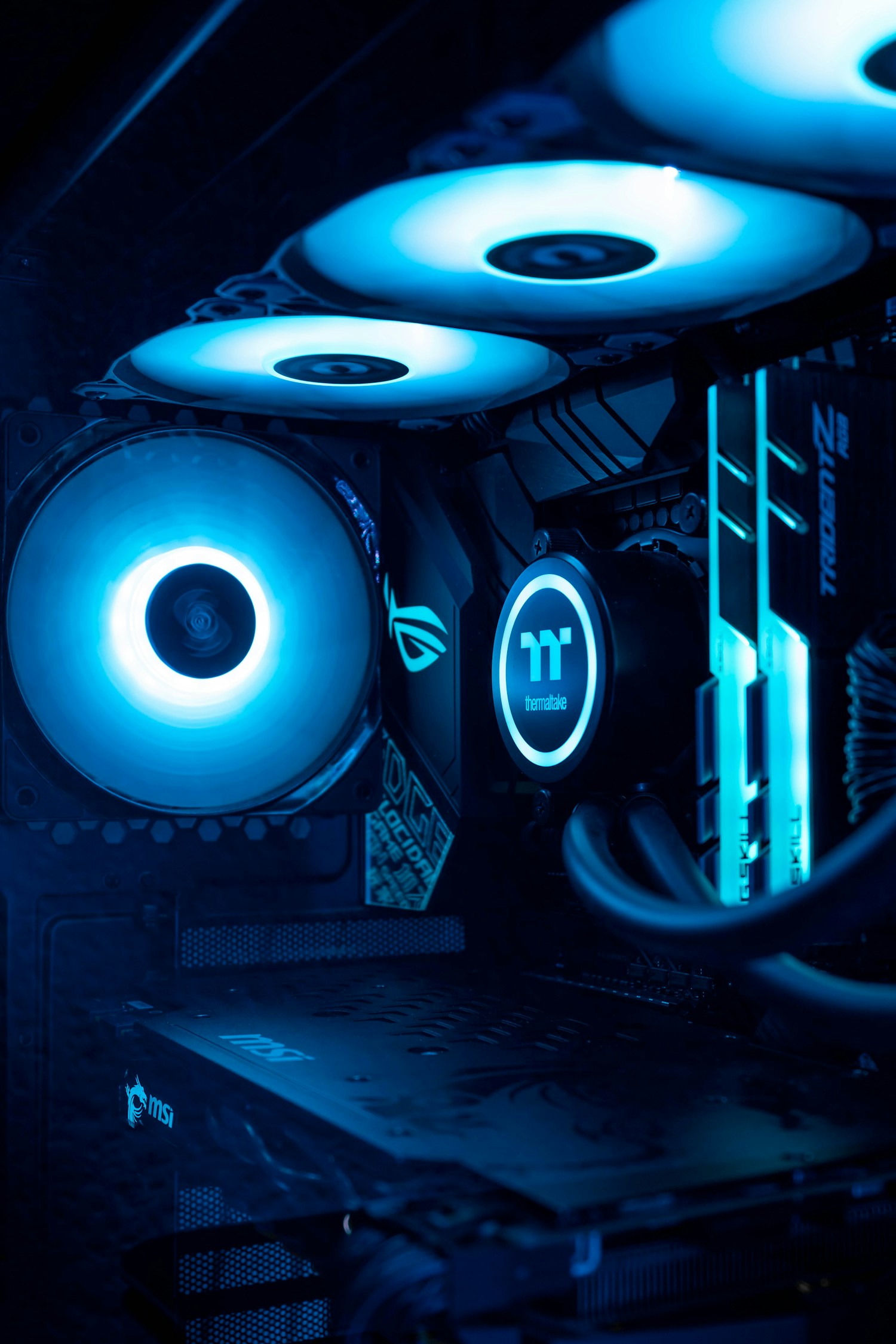 Variety of Classes Image