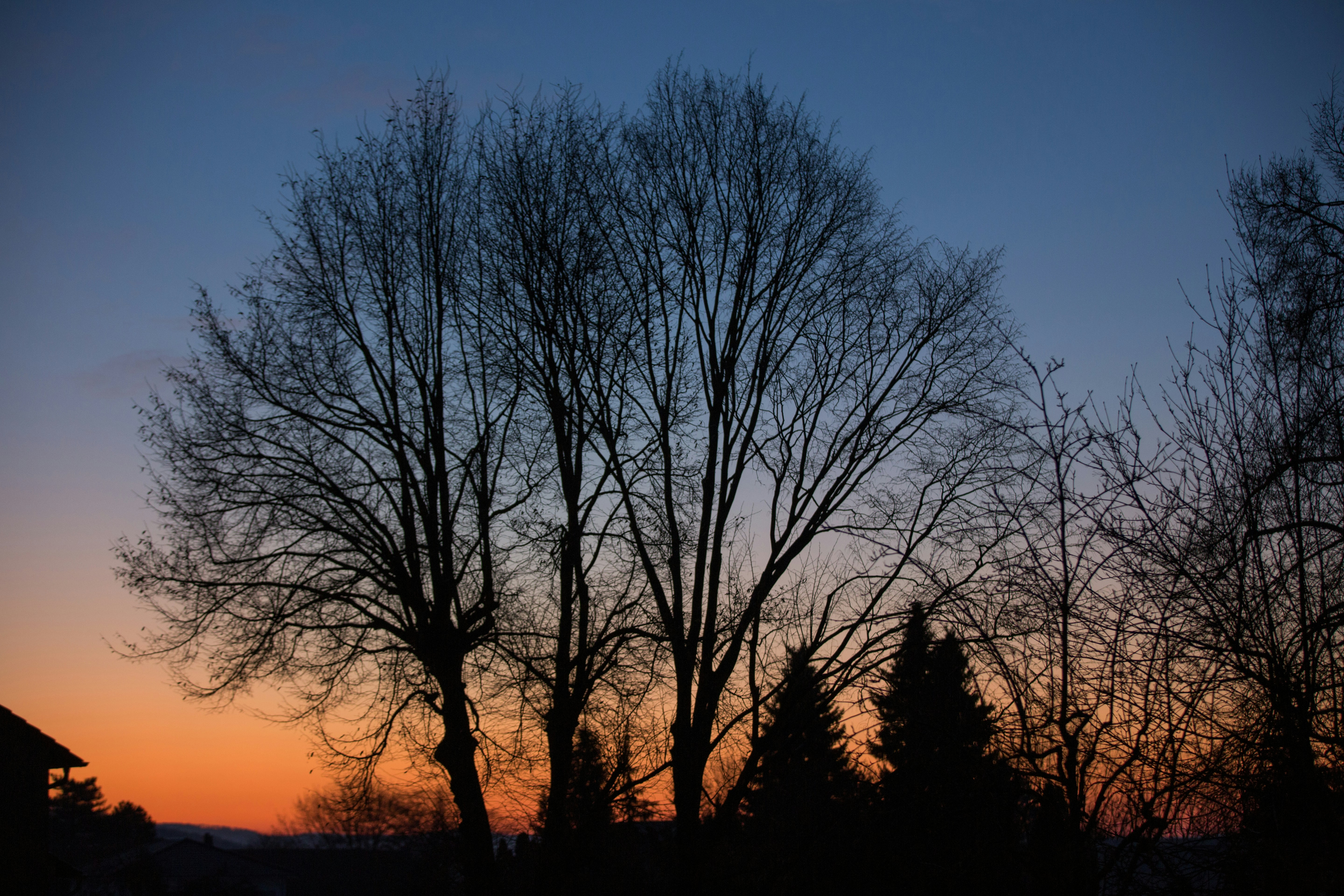 Photo by frank041985