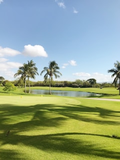 A golf course with well-manicured green grass, a few palm trees, and a small pond in the background. The sky is clear with a few white, fluffy clouds.
