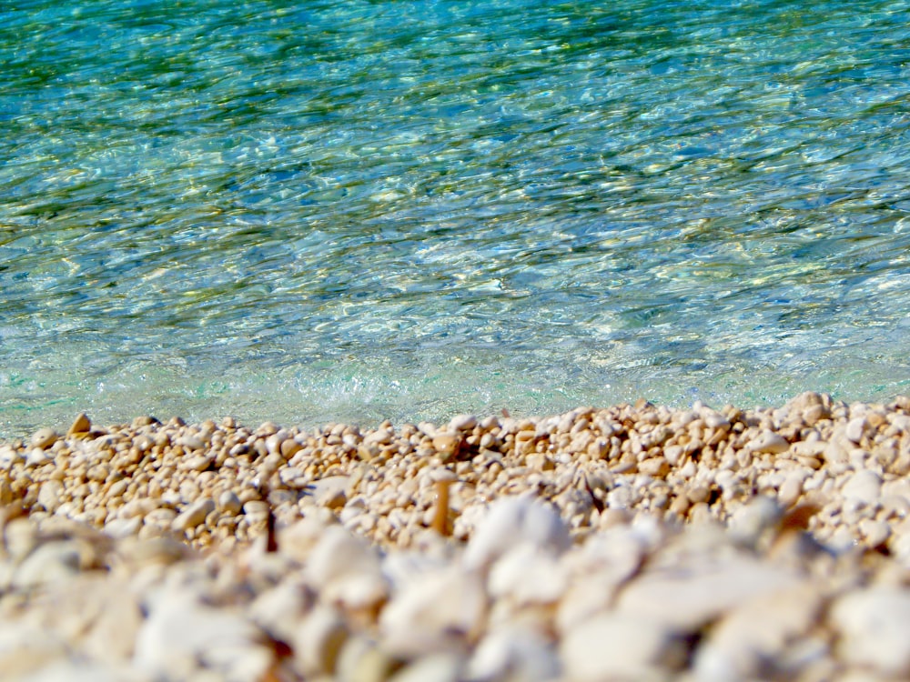 brown and white stones near body of water during daytime