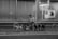 A person walks multiple dogs on leashes along a sidewalk next to a building with large windows. Bicycle racks are visible in the foreground, and a poster is displayed in one of the windows. The scene appears to be in an urban environment and is captured in black and white.