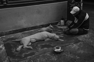 A person is sitting on the ground creating sand sculptures of a dog and a cat. The sculptures appear very lifelike, positioned on a flat surface covered in sand. Nearby, there is a bowl, a water bottle, and some tools that are presumably used for sculpting. The image is in black and white, and the setting appears to be an indoor or outdoor area with a plain wall in the background.