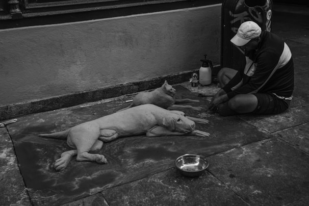 A person is sitting on the ground creating sand sculptures of a dog and a cat. The sculptures appear very lifelike, positioned on a flat surface covered in sand. Nearby, there is a bowl, a water bottle, and some tools that are presumably used for sculpting. The image is in black and white, and the setting appears to be an indoor or outdoor area with a plain wall in the background.