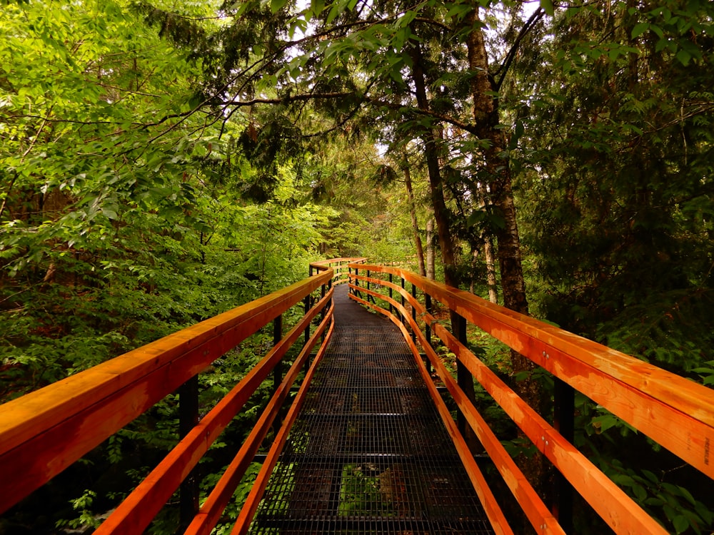 brown wooden bridge in forest during daytime