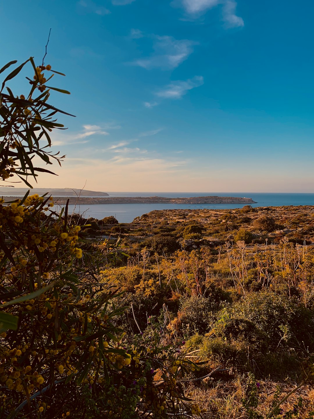 Ecoregion photo spot MLH Gozo