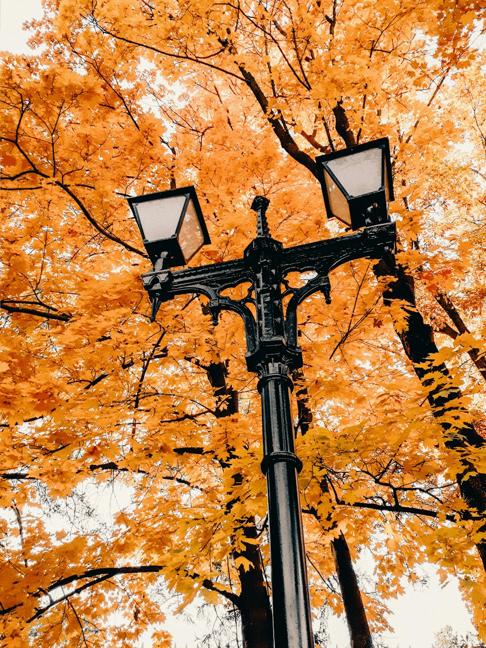 black metal cross on brown leaves