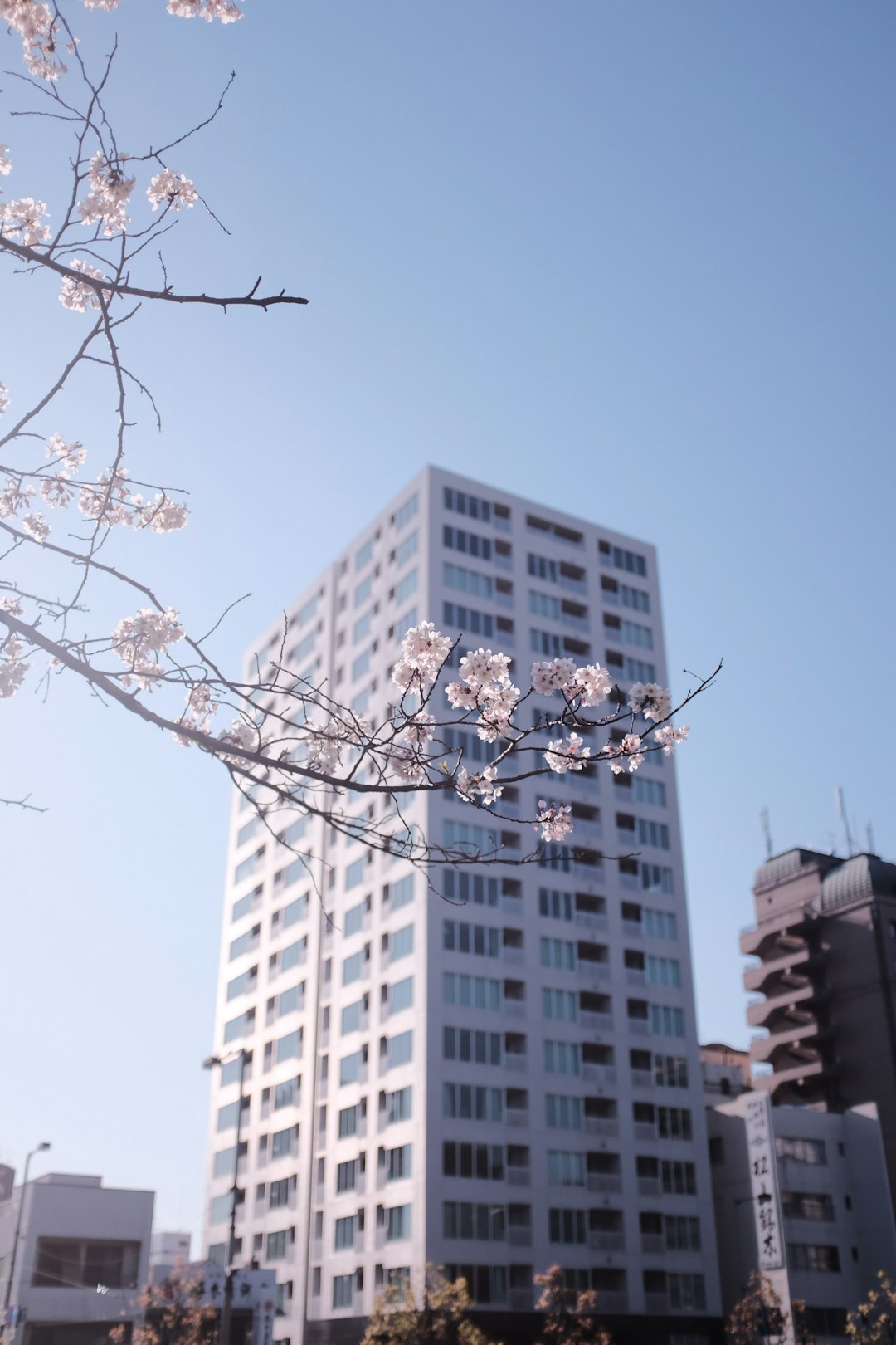 white concrete building under blue sky during daytime