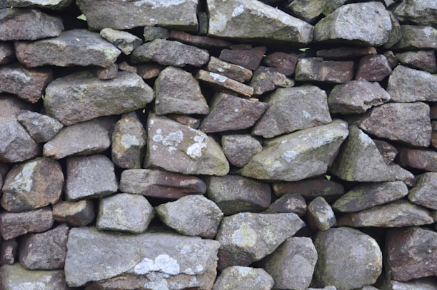 Close-up of a traditional dry stone wall blending with natural surroundings.