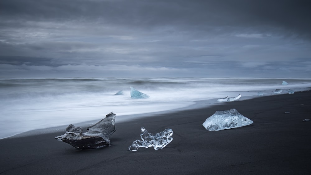 Photo en niveaux de gris de rochers sur la plage