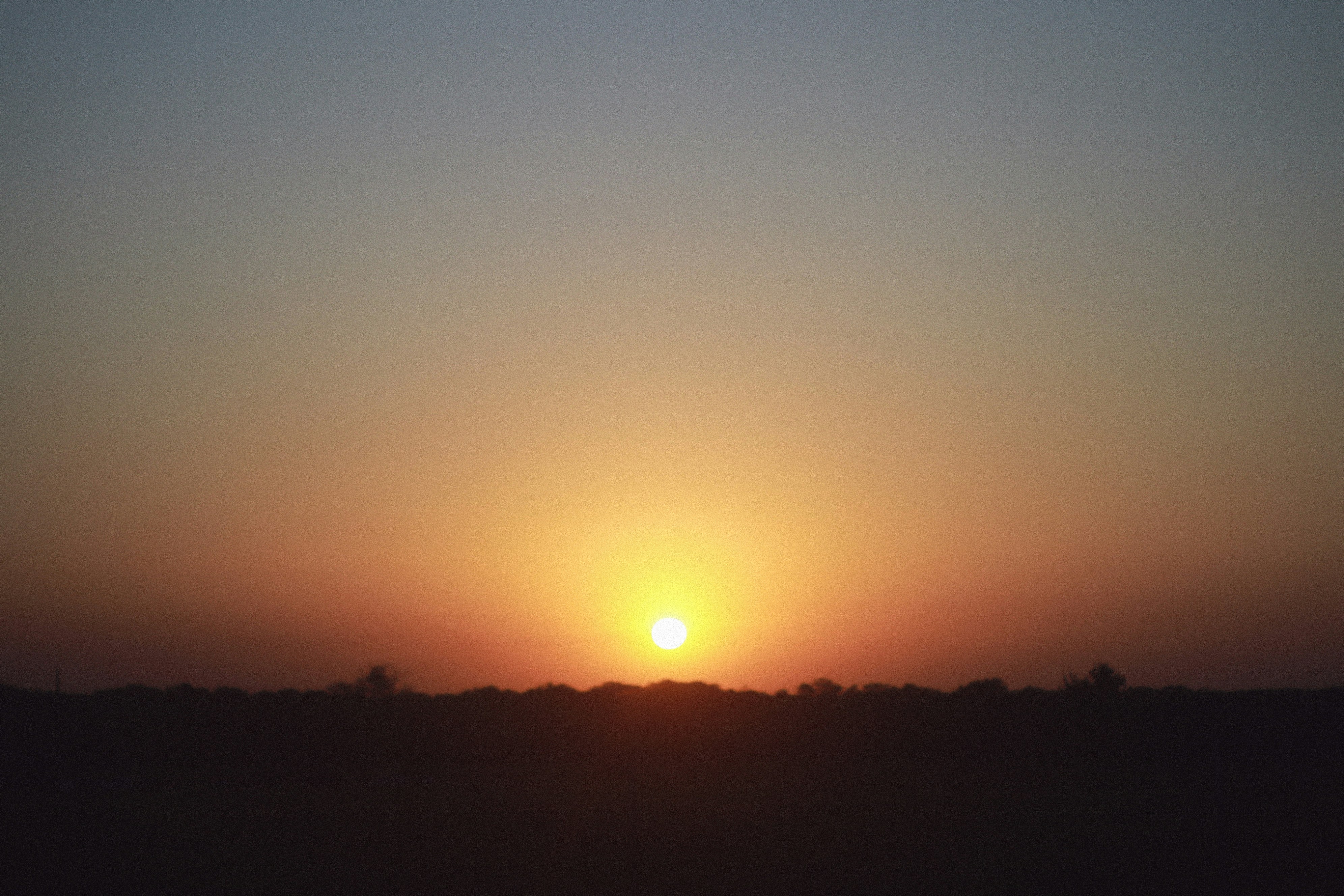 Photo by shawntane37