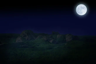 A vivid full moon glowing in a clear night sky over a serene landscape.