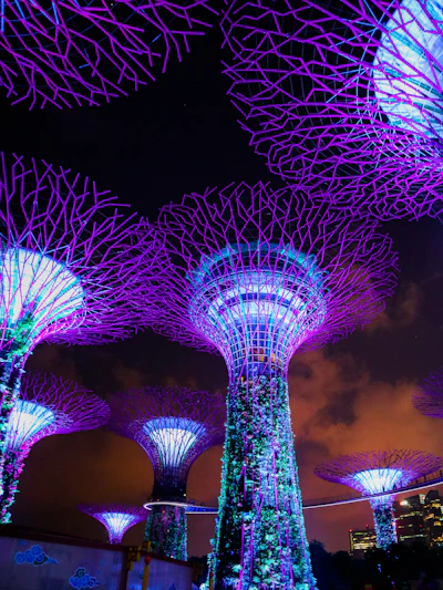 The Supertree Grove at Gardens by the Bay lit up at night