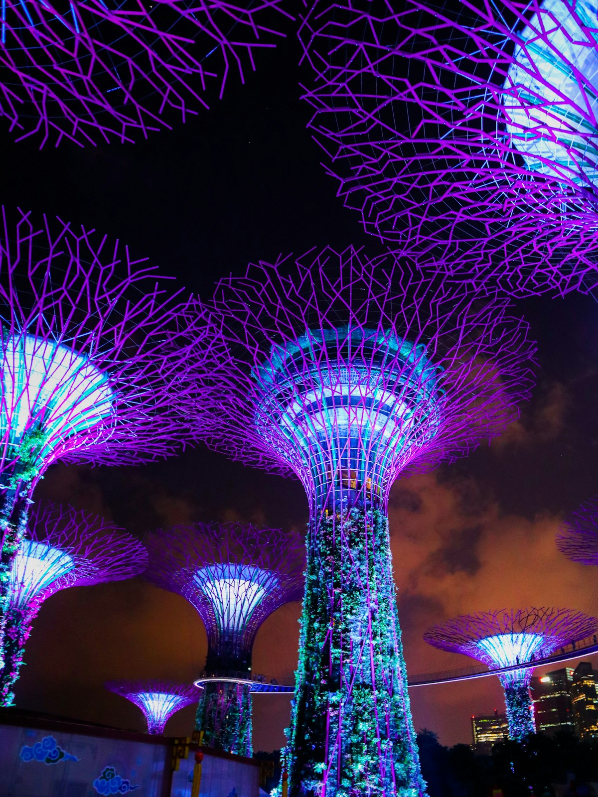 Illuminated Supertree Grove towers at Gardens by the Bay in Singapore at night