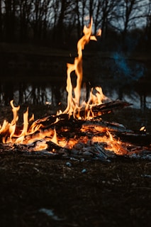 burning wood on brown soil