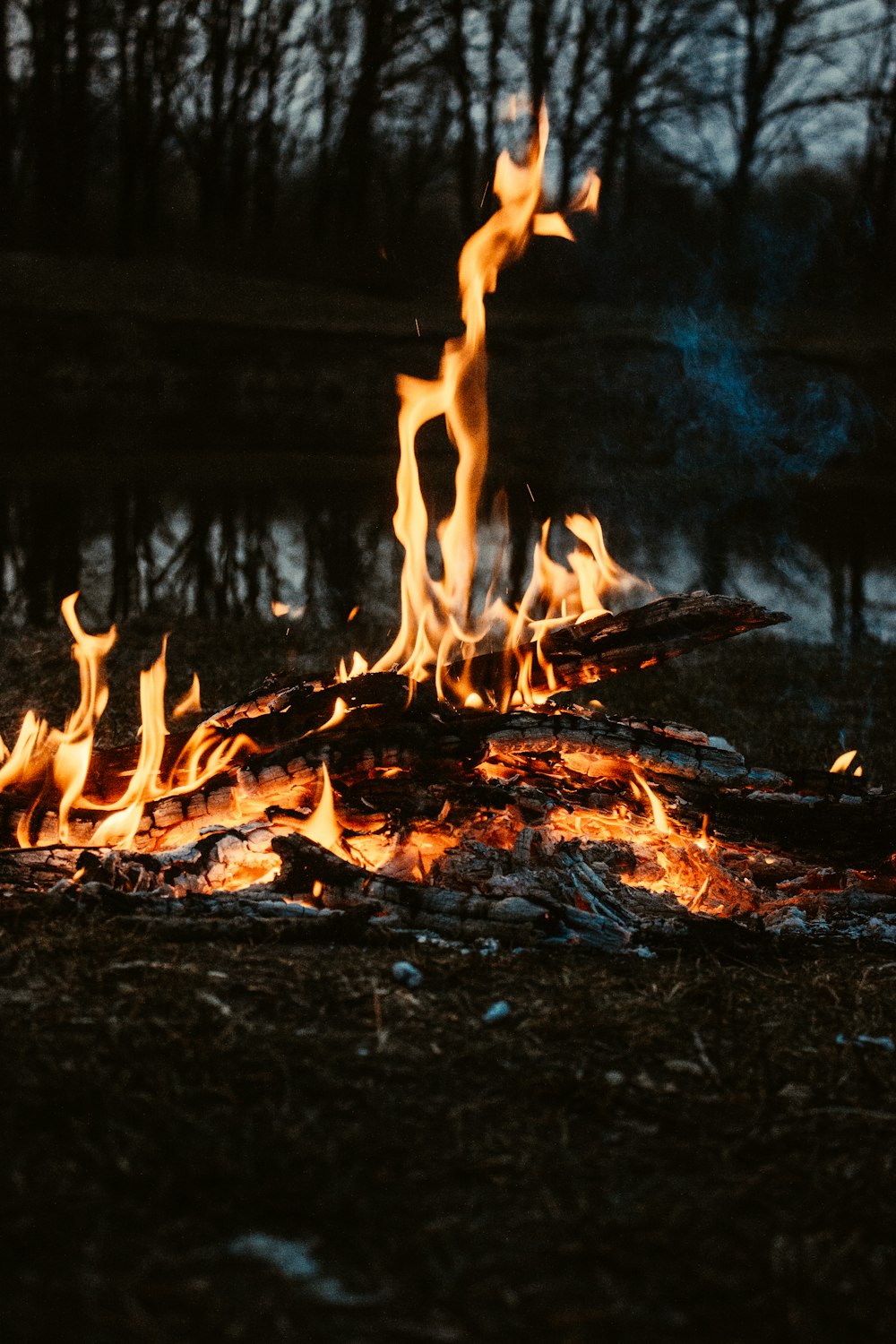 burning wood on brown soil