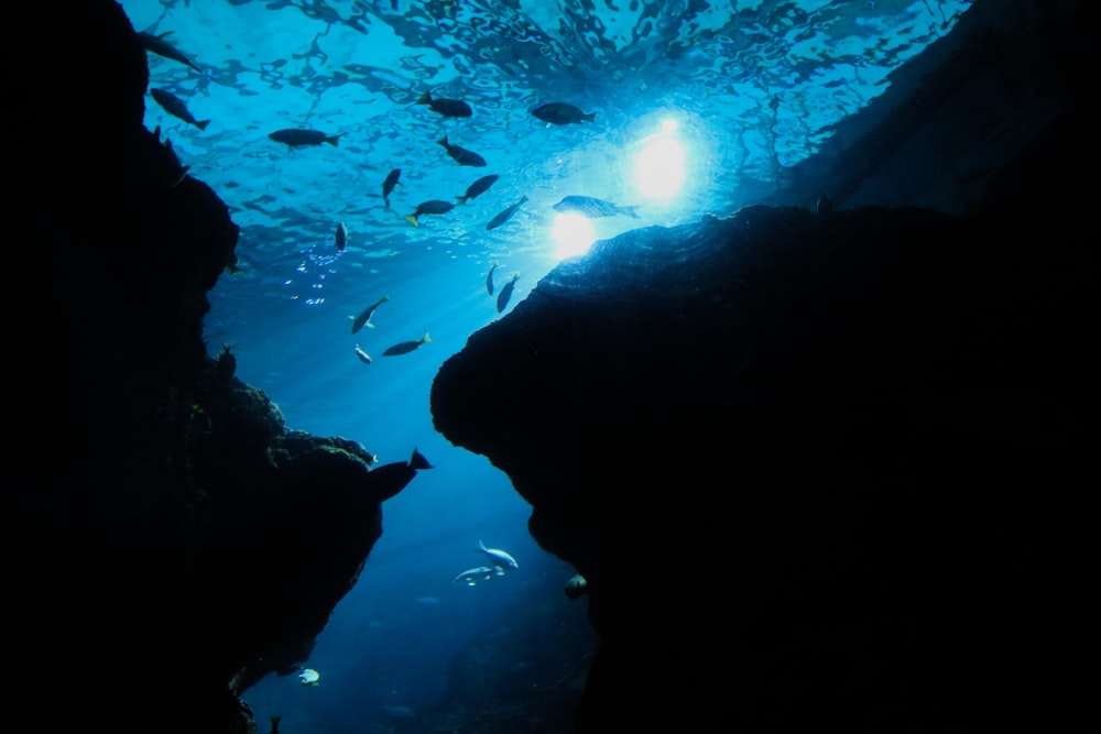 silhouette of people in cave