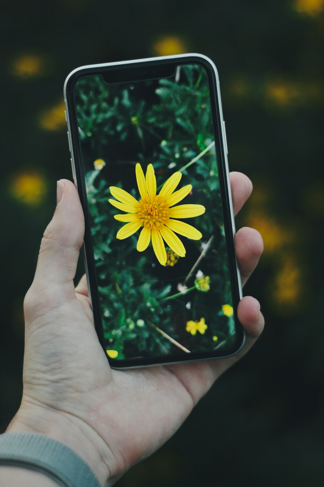 person holding yellow flower smartphone case