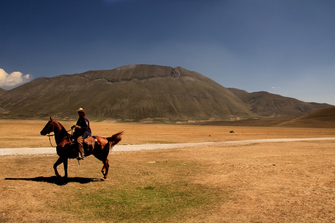 man riding horse on green grass field near mountain during daytime