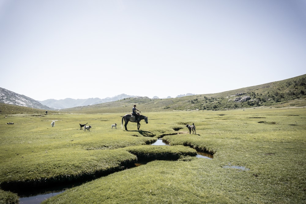 people walking on green grass field during daytime