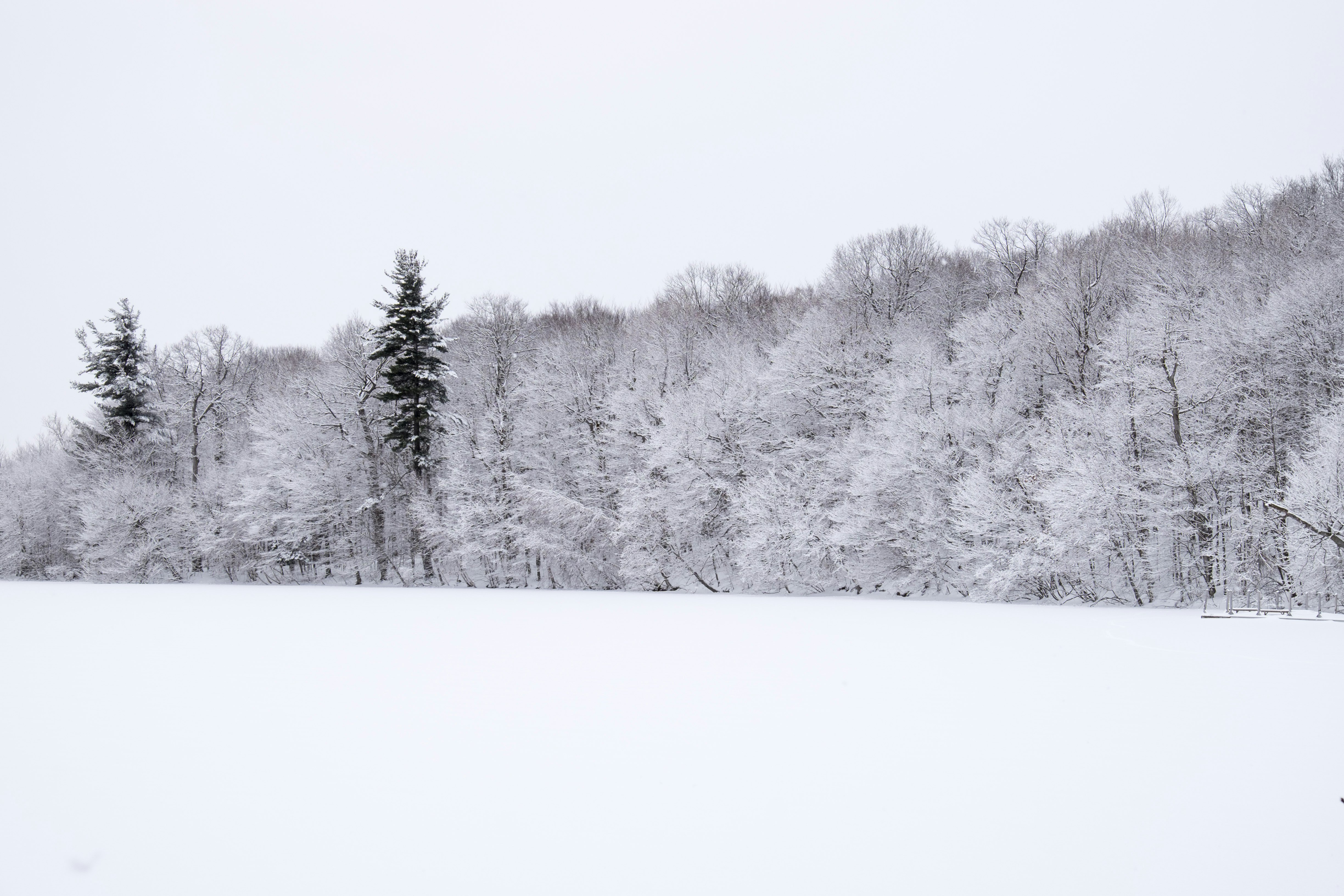 Winter landscape after snowstorm