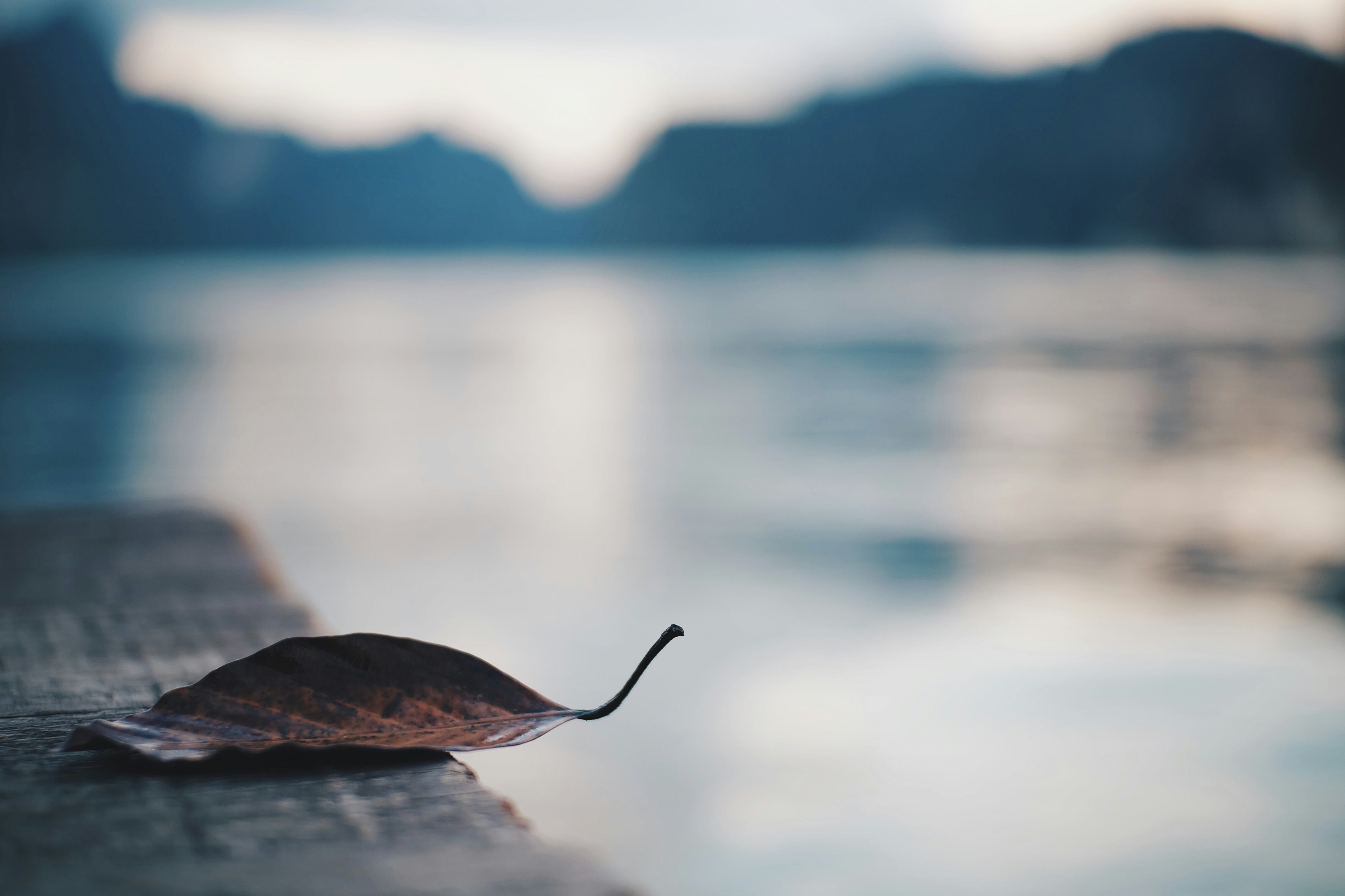 Pure Himalayan Shilajeet