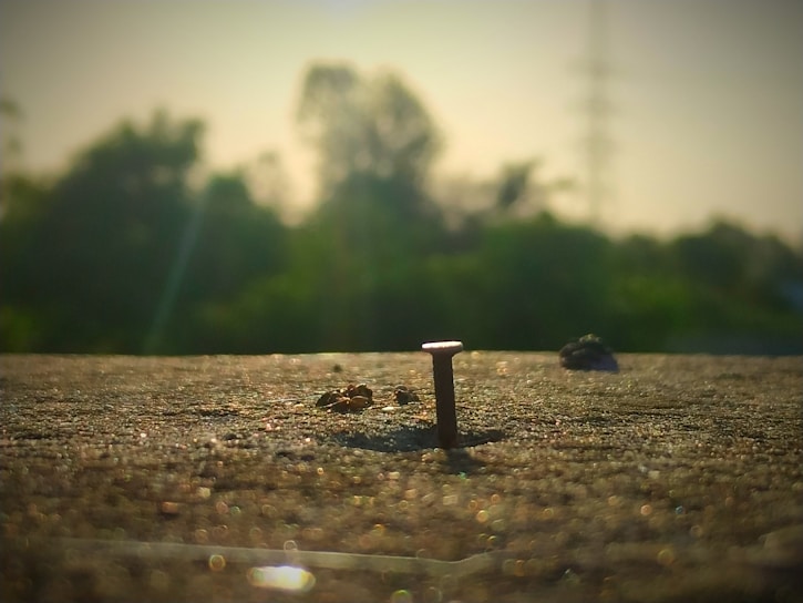 Close-up of a pointillist artwork made with nails on wooden surface, showing texture and detail.