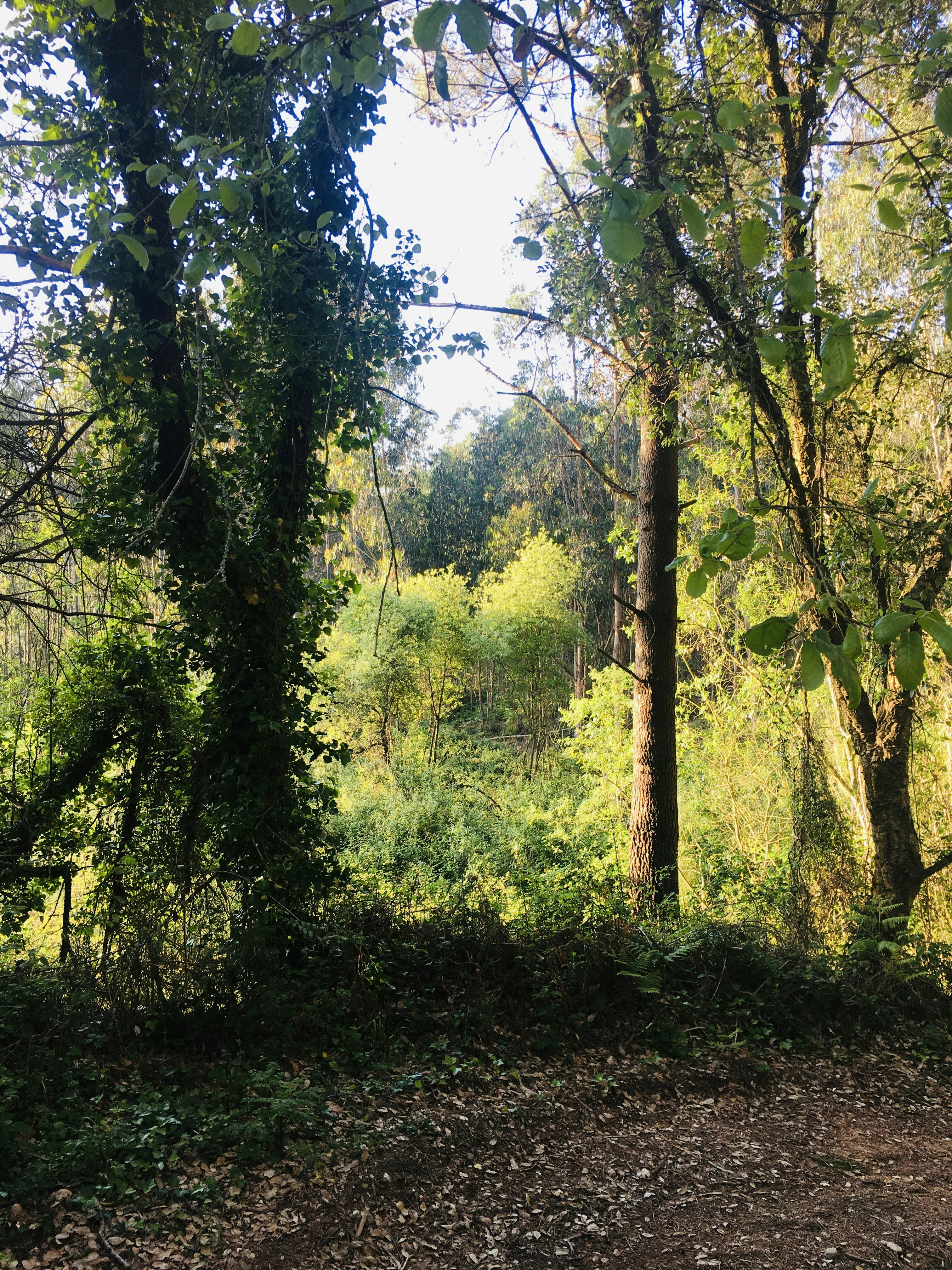 Photo by renataabaptistaa