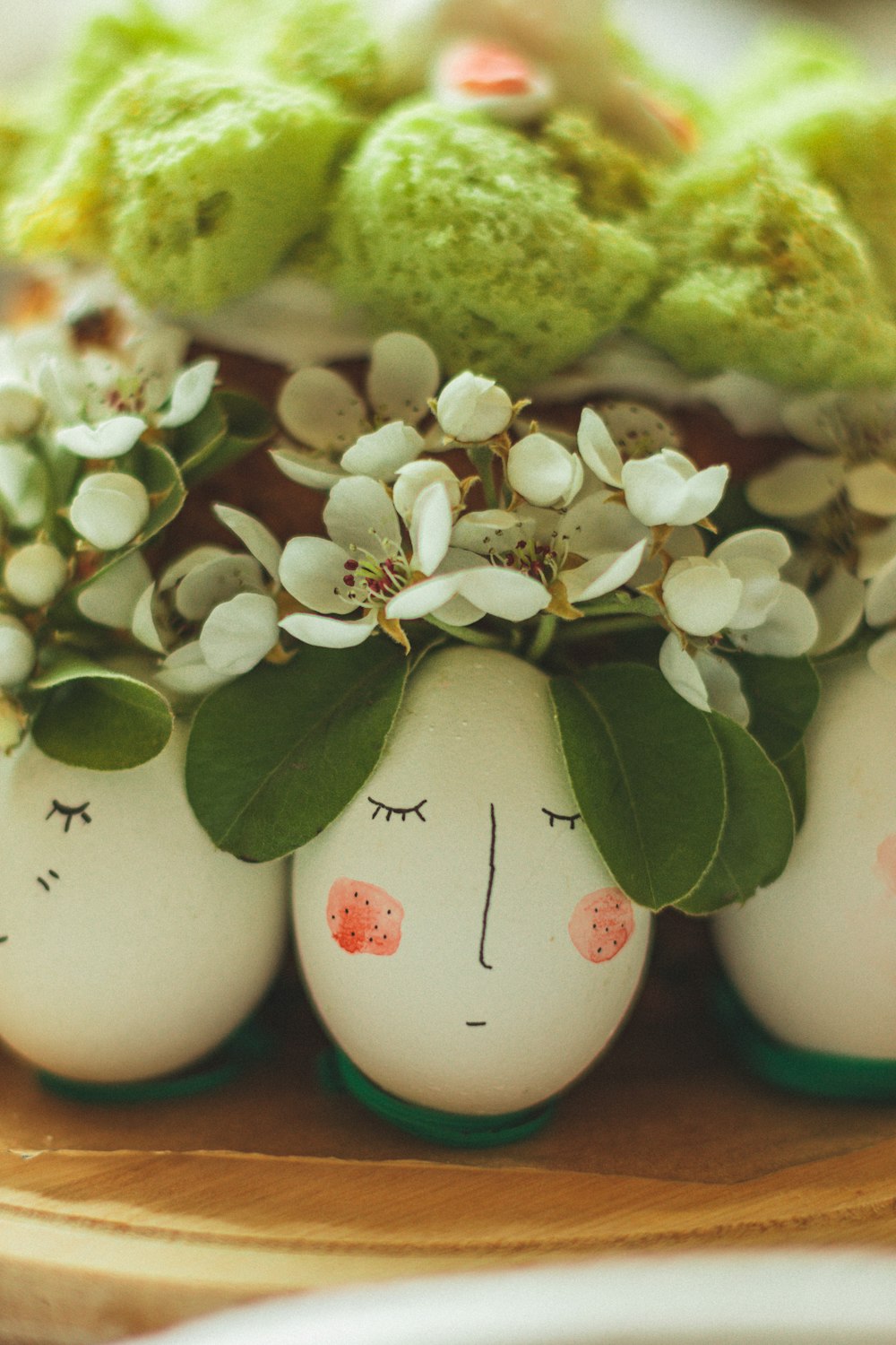 white flowers with green leaves