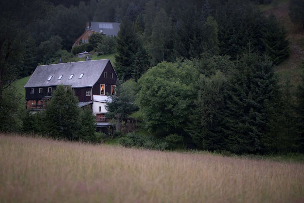 white and black house on green grass field