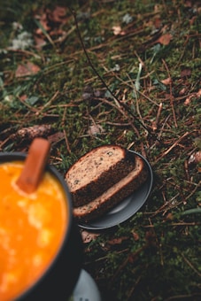Slices of multigrain bread rest on a plate placed directly on a forest floor covered with green moss and twigs. Beside the bread, a bowl filled with vibrant orange soup, likely pumpkin or carrot, is partially visible, adding a warm contrast to the earthy setting.