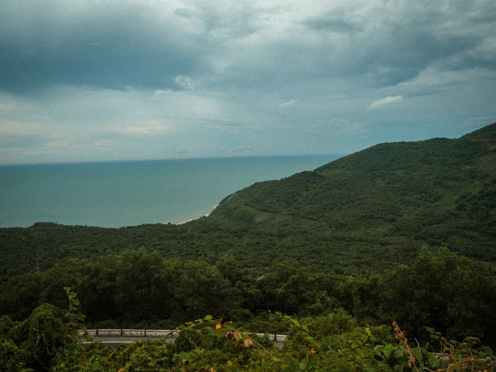 green trees on mountain near sea under blue sky during daytime