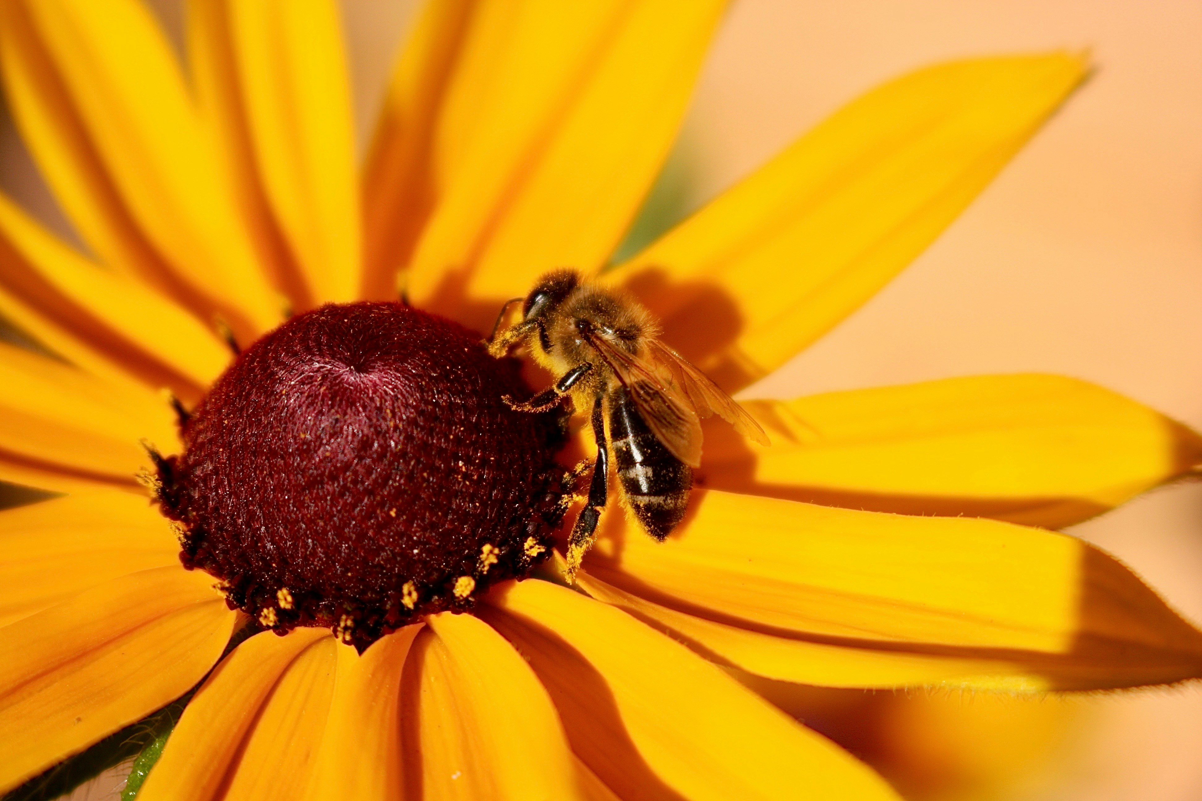 Photo by juratejuskeviciute