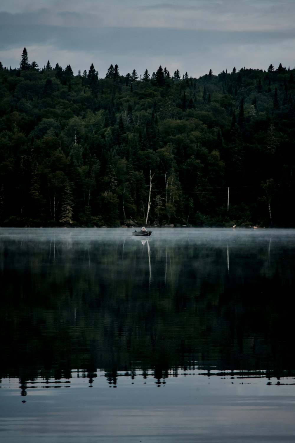 green trees beside body of water during daytime