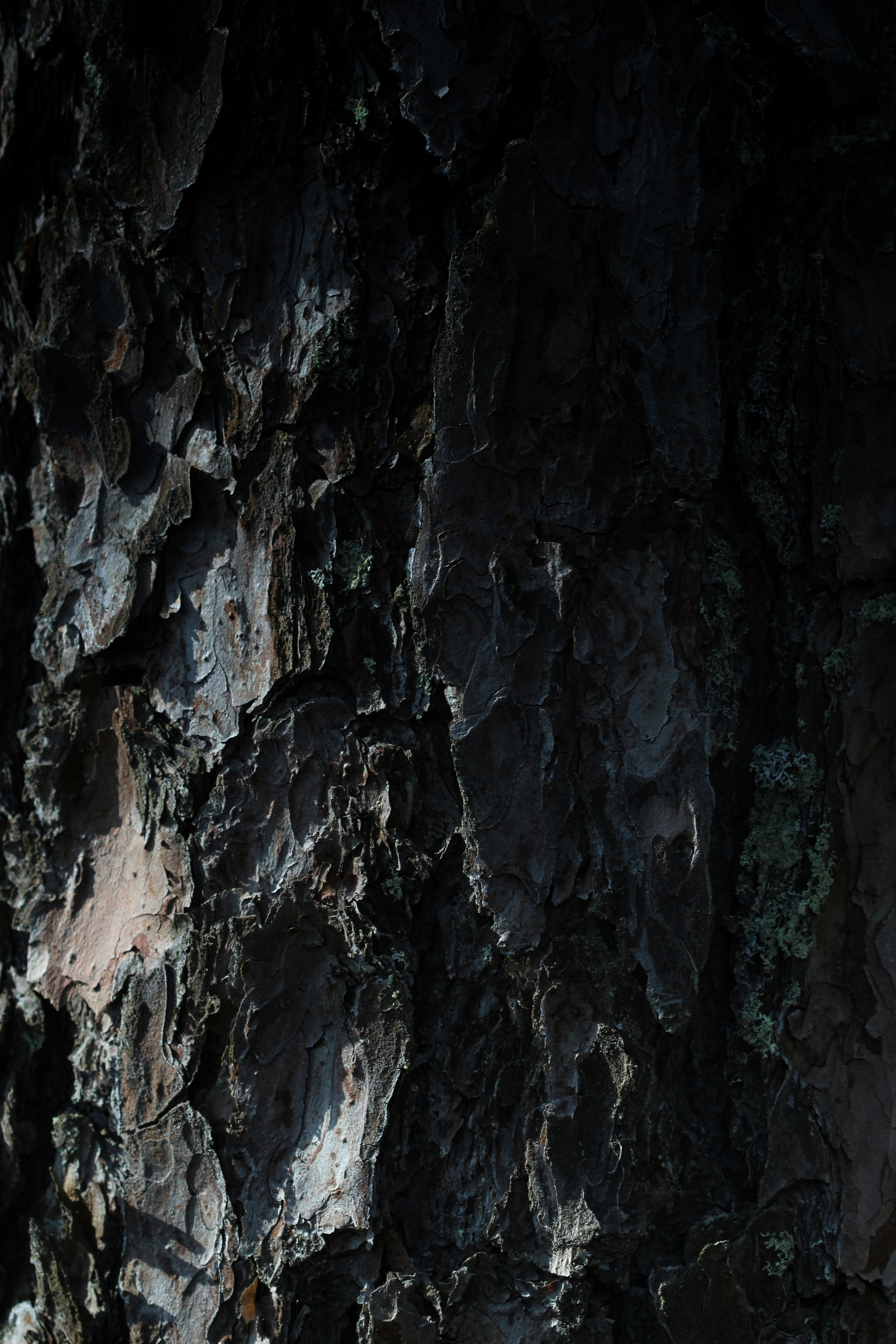 Photo by polarmermaid